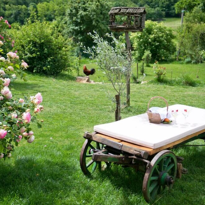 Slovenia benessere ASA Rose-garden